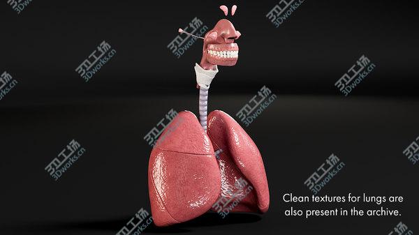 images/goods_img/20210312/3D Respiratory System Smoker's Lungs heavy stage/4.jpg